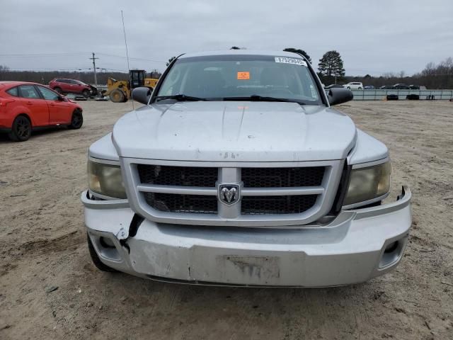 2010 Dodge Dakota SXT