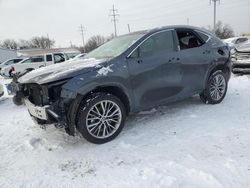 2023 Lexus NX 350H en venta en Columbus, OH