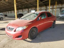 Salvage cars for sale from Copart Phoenix, AZ: 2010 Toyota Corolla Base