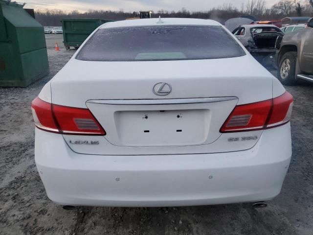 2010 Lexus ES 350