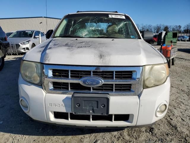 2008 Ford Escape XLT