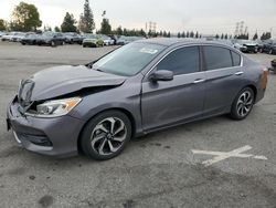 Salvage cars for sale at Rancho Cucamonga, CA auction: 2016 Honda Accord EX