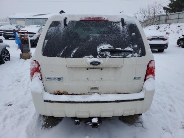 2011 Ford Escape XLT