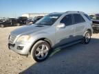 2009 Mercedes-Benz ML 350