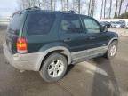 2001 Ford Escape XLT