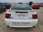 2000 Ford Mustang GT