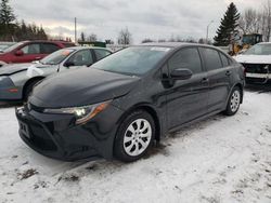 Toyota Corolla salvage cars for sale: 2021 Toyota Corolla LE