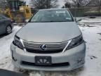 2010 Lexus HS 250H