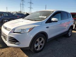 Ford Vehiculos salvage en venta: 2014 Ford Escape SE