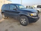 2005 Ford Escape Limited