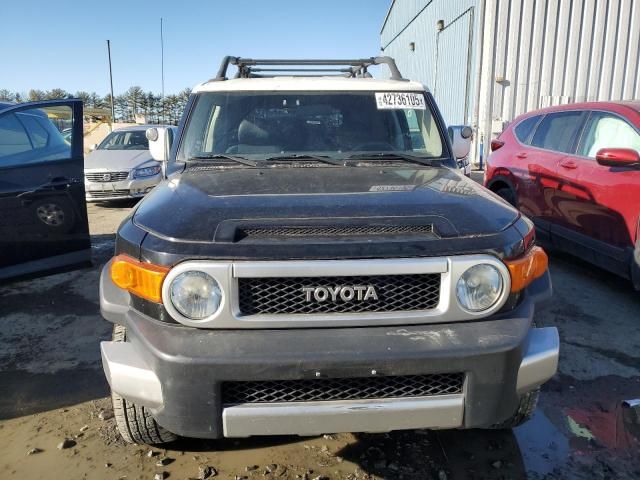 2007 Toyota FJ Cruiser