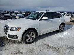 Salvage cars for sale at Helena, MT auction: 2012 Audi Q5 Premium Plus