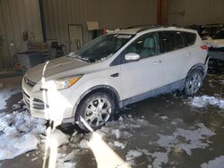 Salvage cars for sale at Appleton, WI auction: 2013 Ford Escape SEL