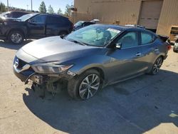 Salvage cars for sale at Gaston, SC auction: 2016 Nissan Maxima 3.5S