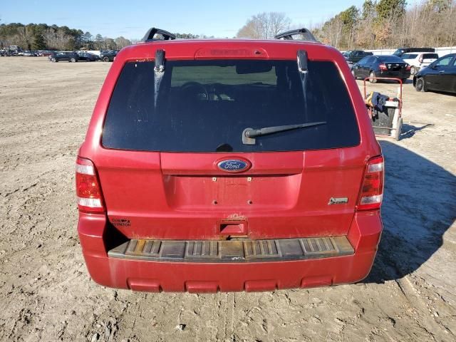 2011 Ford Escape XLT