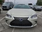 2021 Lexus ES 300H Luxury