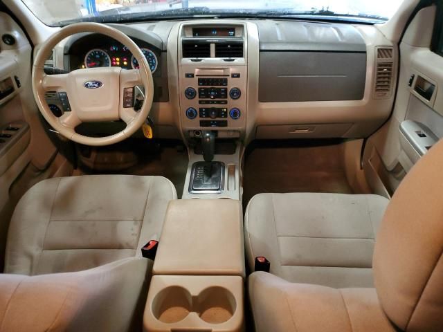 2010 Ford Escape XLT