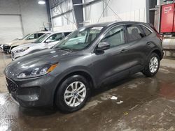 Salvage cars for sale from Copart Ham Lake, MN: 2020 Ford Escape SE