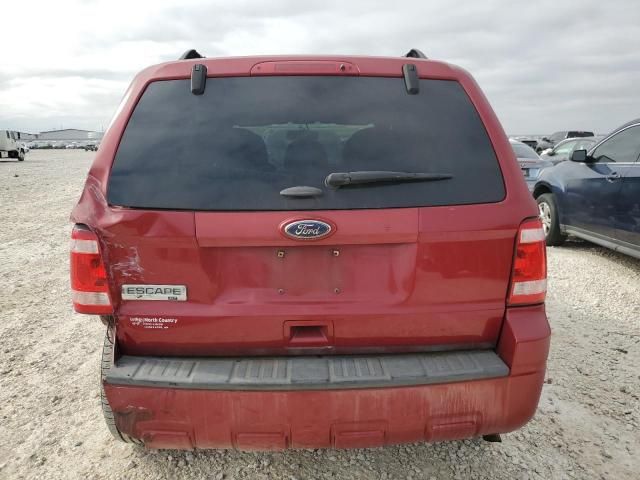 2011 Ford Escape XLT