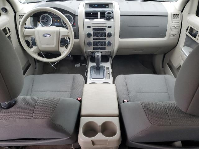 2009 Ford Escape XLT