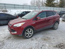 Salvage cars for sale at Davison, MI auction: 2014 Ford Escape Titanium