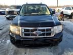 2008 Ford Escape XLS