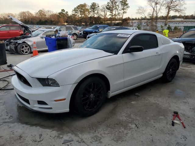 2014 Ford Mustang