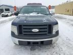 2009 Ford F150