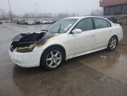 Salvage cars for sale at Fort Wayne, IN auction: 2003 Nissan Altima SE