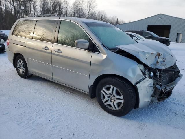 2005 Honda Odyssey EXL