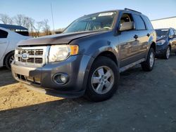 Salvage cars for sale at Spartanburg, SC auction: 2012 Ford Escape XLT