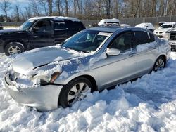 Salvage cars for sale at Waldorf, MD auction: 2009 Honda Accord EXL