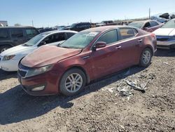 Salvage cars for sale from Copart Tucson, AZ: 2013 KIA Optima LX