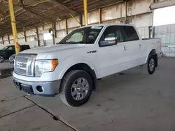 Ford Vehiculos salvage en venta: 2010 Ford F150 Supercrew