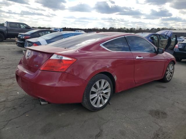 2009 Honda Accord EXL