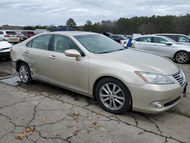 2010 Lexus ES 350