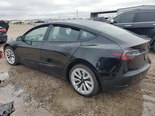 2023 Tesla Model 3