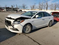 Carros salvage a la venta en subasta: 2016 Hyundai Sonata Hybrid