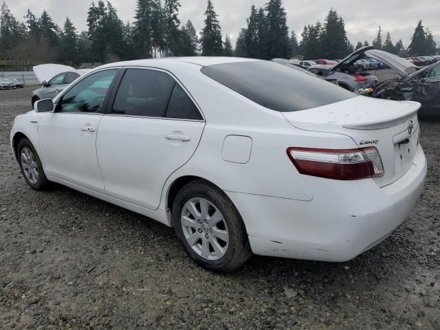 2009 Toyota Camry Hybrid