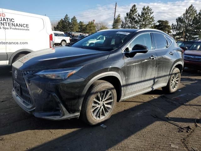 2023 Lexus NX 350