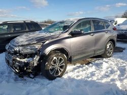 Salvage cars for sale at Hillsborough, NJ auction: 2020 Honda CR-V EX