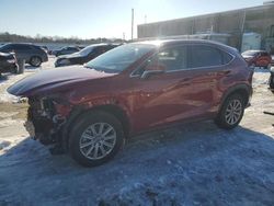 Salvage Cars with No Bids Yet For Sale at auction: 2020 Lexus NX 300