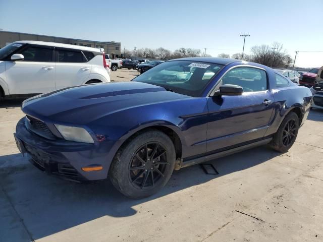 2010 Ford Mustang