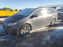 Salvage cars for sale at Brighton, CO auction: 2014 Honda Odyssey Touring