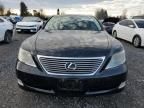 2007 Lexus LS 460