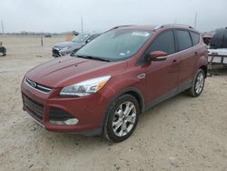 Ford salvage cars for sale: 2014 Ford Escape Titanium