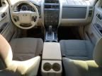 2010 Ford Escape XLS