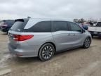 2022 Honda Odyssey EXL