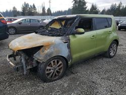 KIA salvage cars for sale: 2017 KIA Soul +