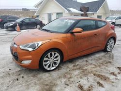 Lots with Bids for sale at auction: 2013 Hyundai Veloster